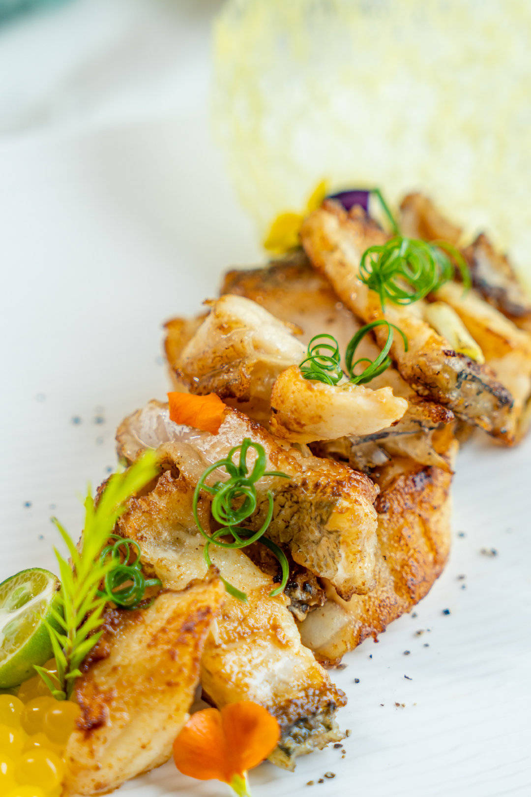 广州合汇温泉酒店亲子乐园,增城合汇温泉酒店攻略