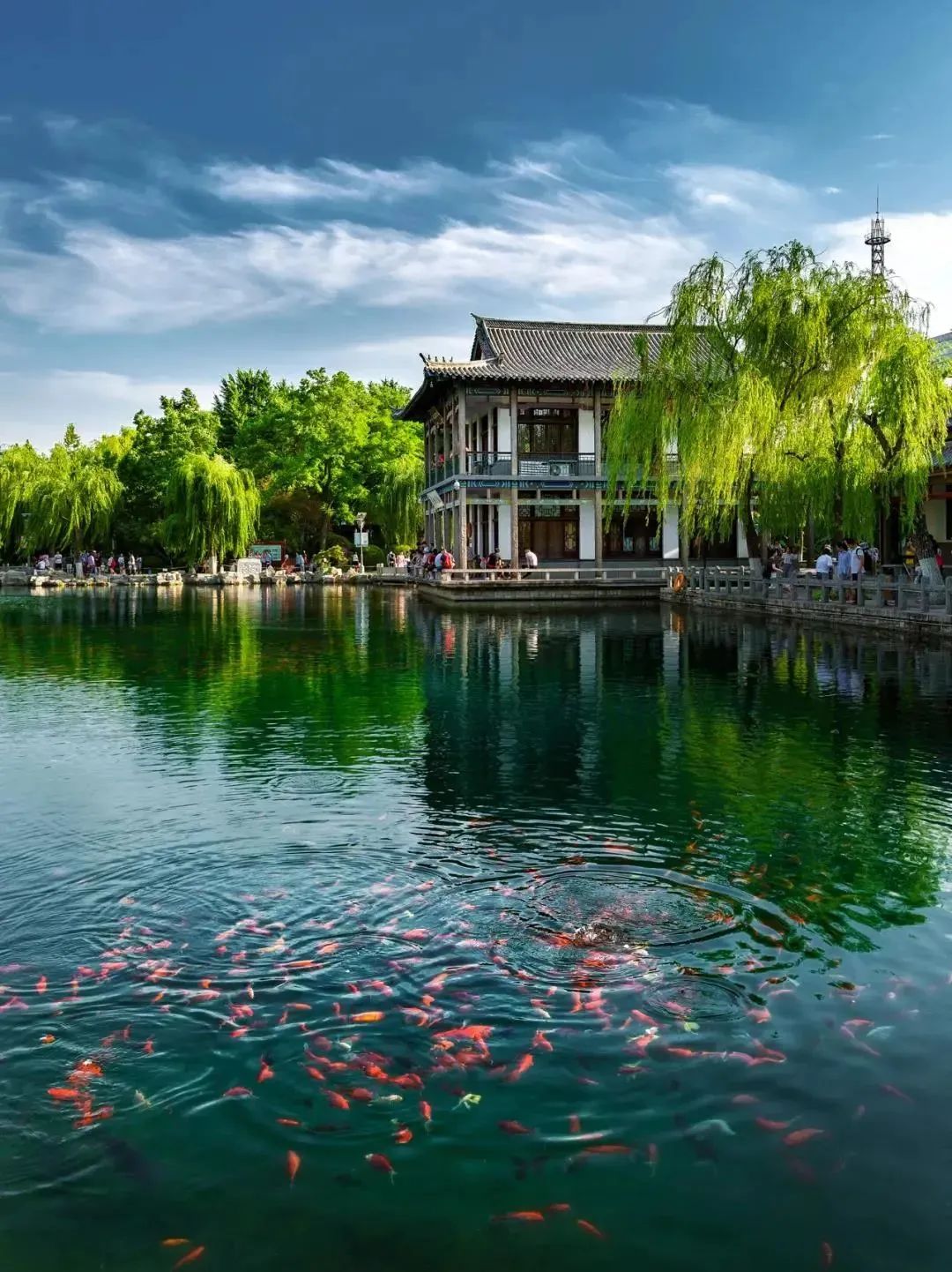 美！青山绿水间，留下一抹齐鲁红！