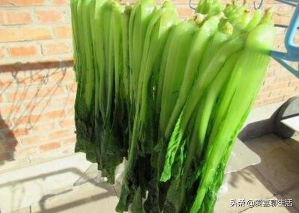 春天遇见这些菜别手软，晒干囤起来，从春吃到冬，随吃随取真省事