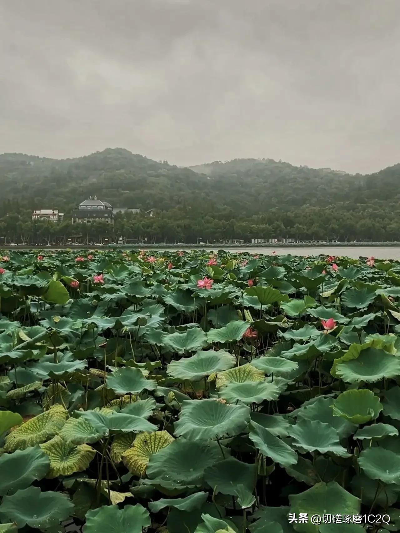 100字足球小故事,睡前足球小故事