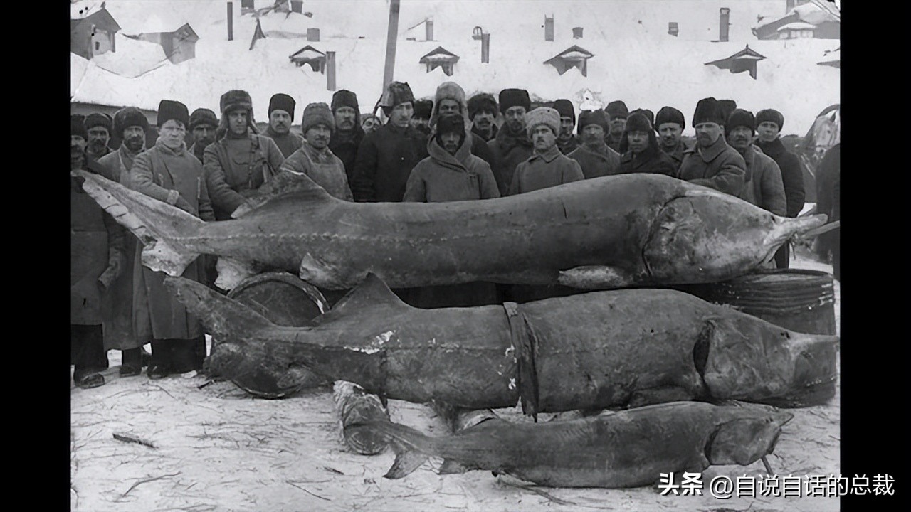 从2亿年不进化的王者，到比黄金还贵的食物，背后隐藏着商业秘密