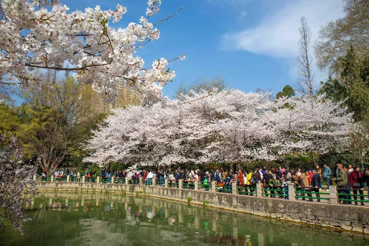 郑州经开区赏花胜地,三月郑州附近有什么赏花的