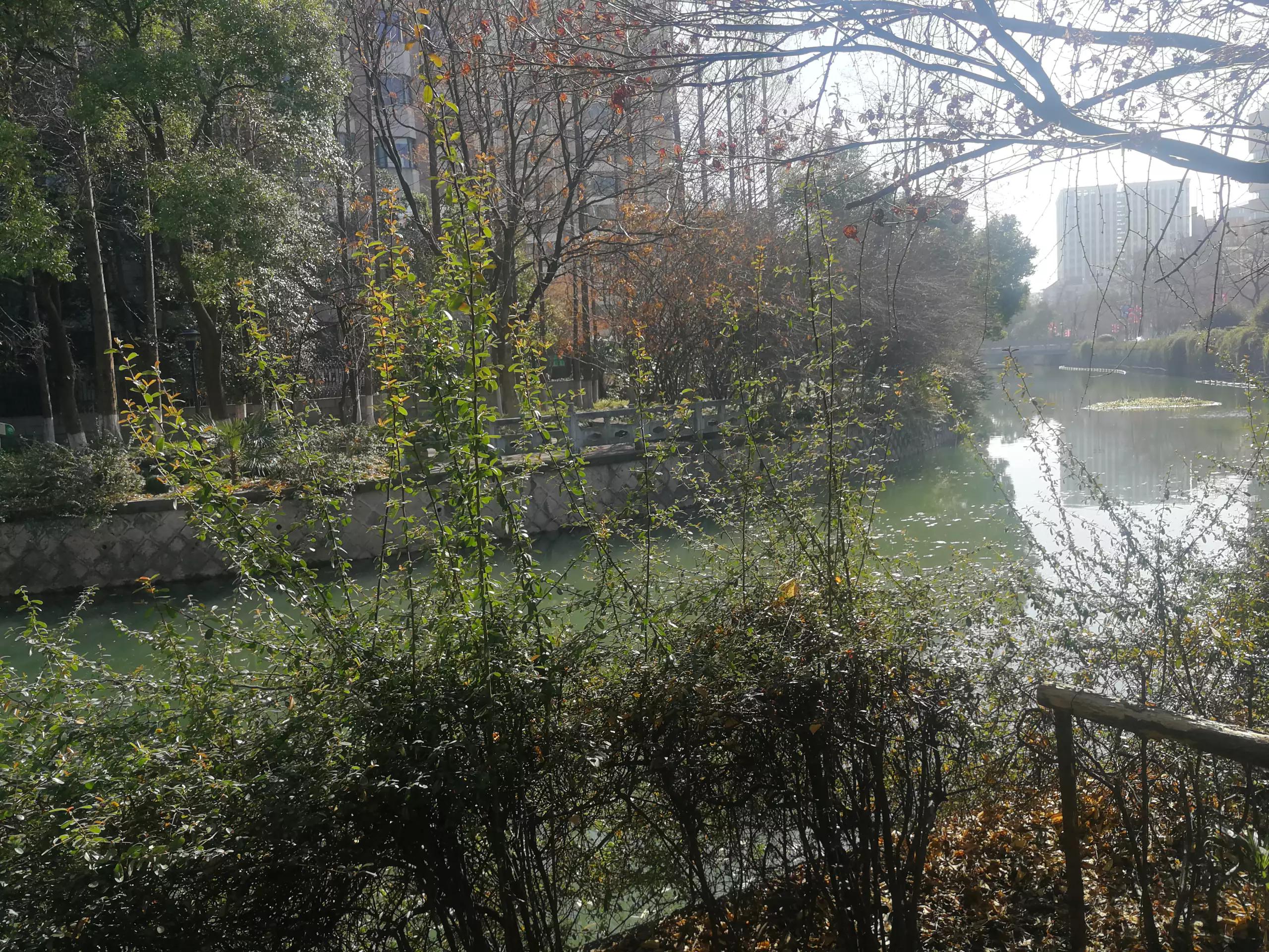 忆起六十多年前“文一街小学”的如烟往事