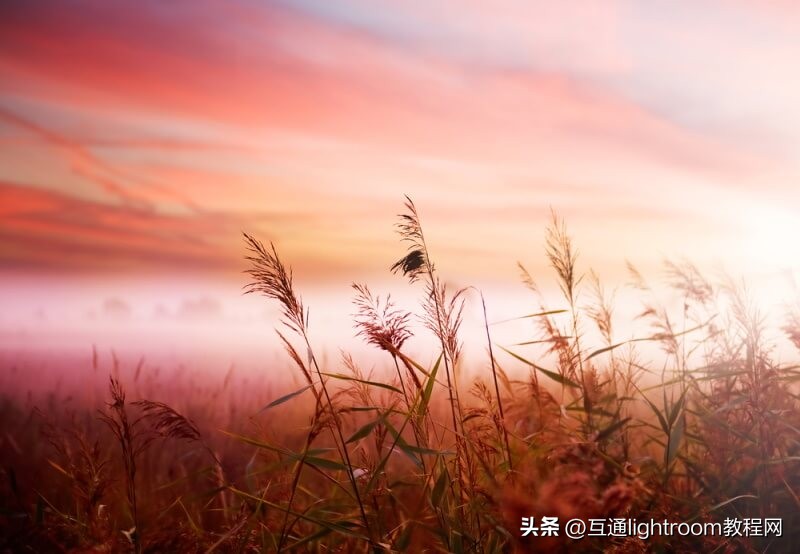 拍出清晰的风景照方法和技巧,风景照拍照技巧纯风景构图