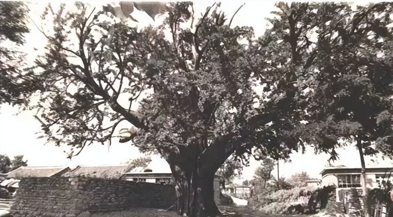 70年代河北秦皇岛老照片,秦皇岛60年代老照片