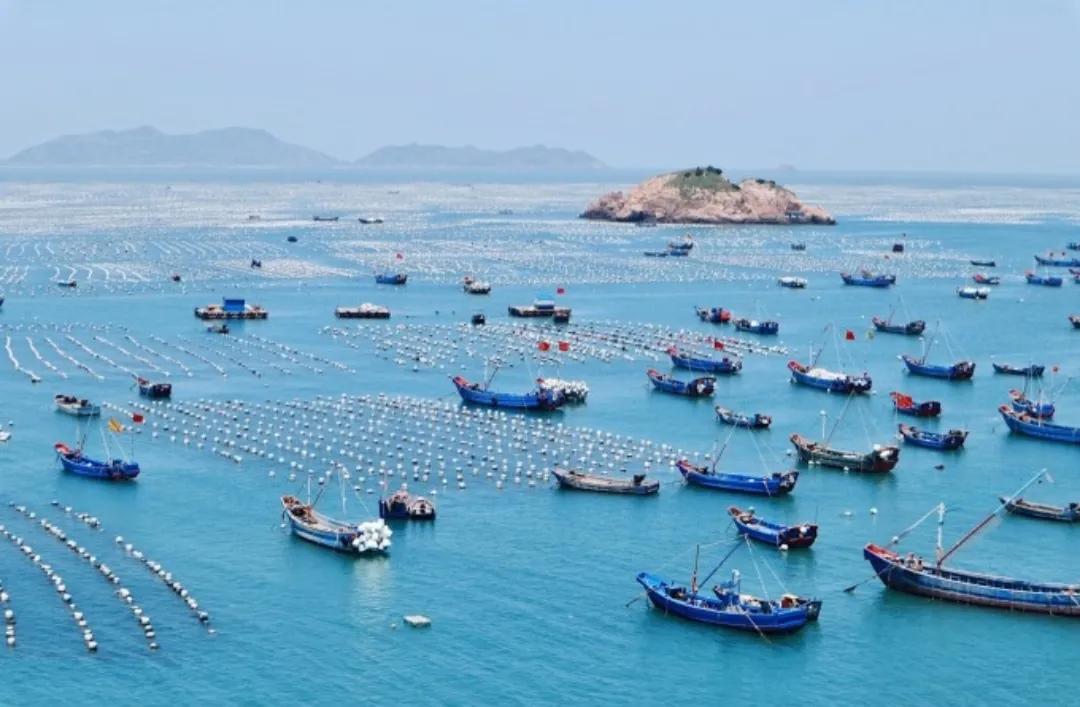 枸杞岛亲子游攻略 (枸杞岛自驾游攻略)