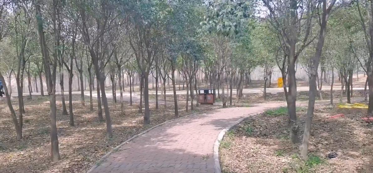 郑州周边遛娃自驾一日游,郑州北部秋季遛娃免费景点