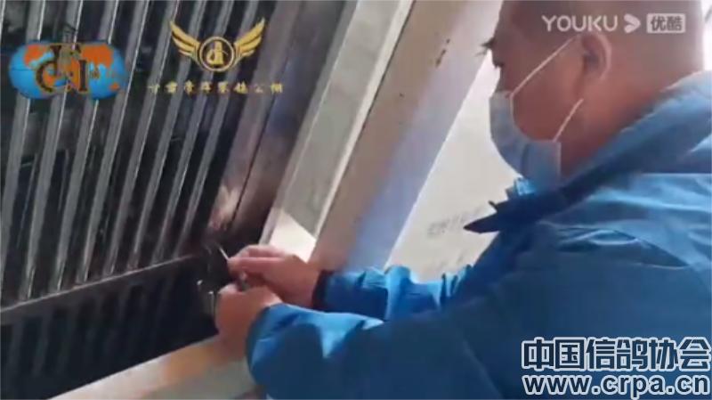 冠军高分速归巢！“洲际杯”甘肃帝珲站509公里决赛精彩回顾