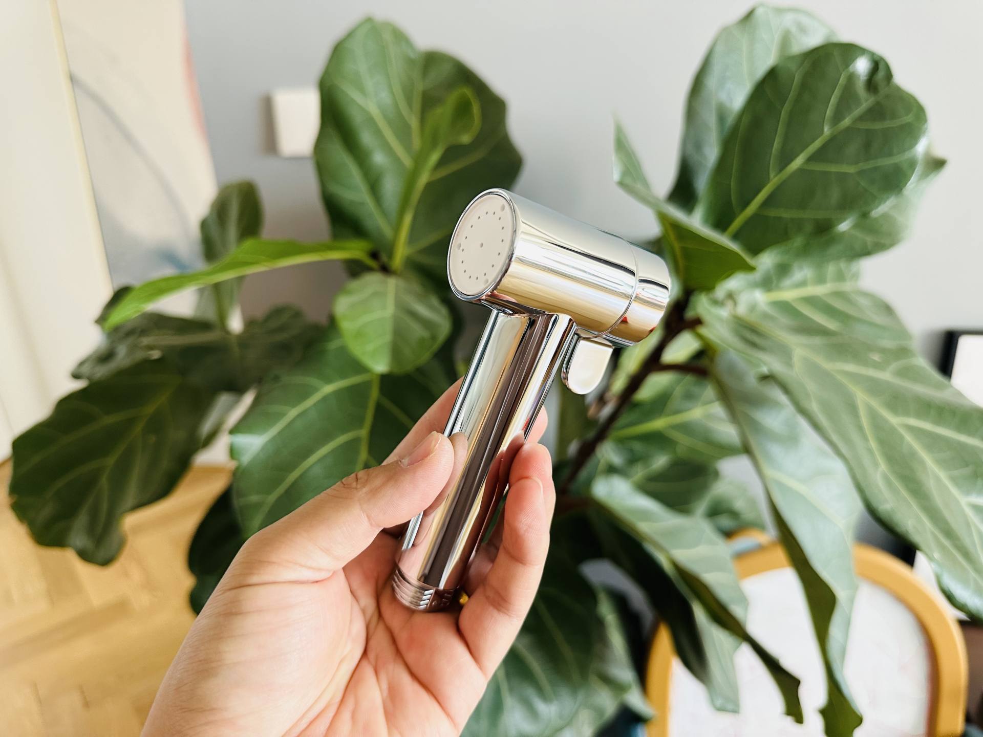 绫冲鎺ф俯娣嬫荡鑺辨磼s1璐ㄤ繚澶氫箙,绫冲娣嬫荡鑺辨磼s1鏄亽娓╄姳娲掑悧