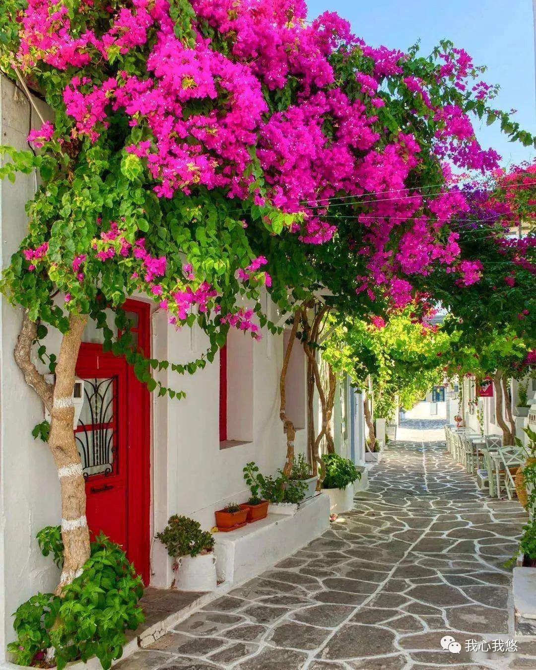 不要为打翻的牛奶而哭泣英文,不要为打翻的牛奶而哭泣什么意思