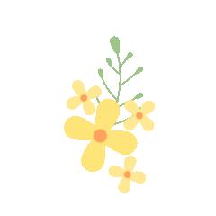 北京周边探秘京城最美油菜花海,北京油菜花必去的地方