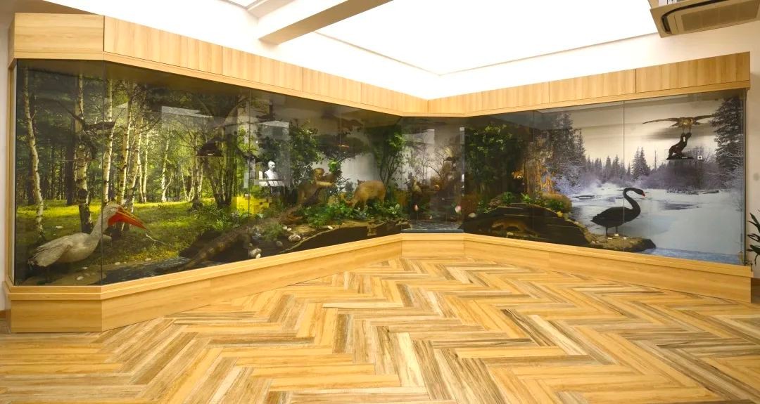 特色高中、生态科研，上海师大二附中的教育崛起之路