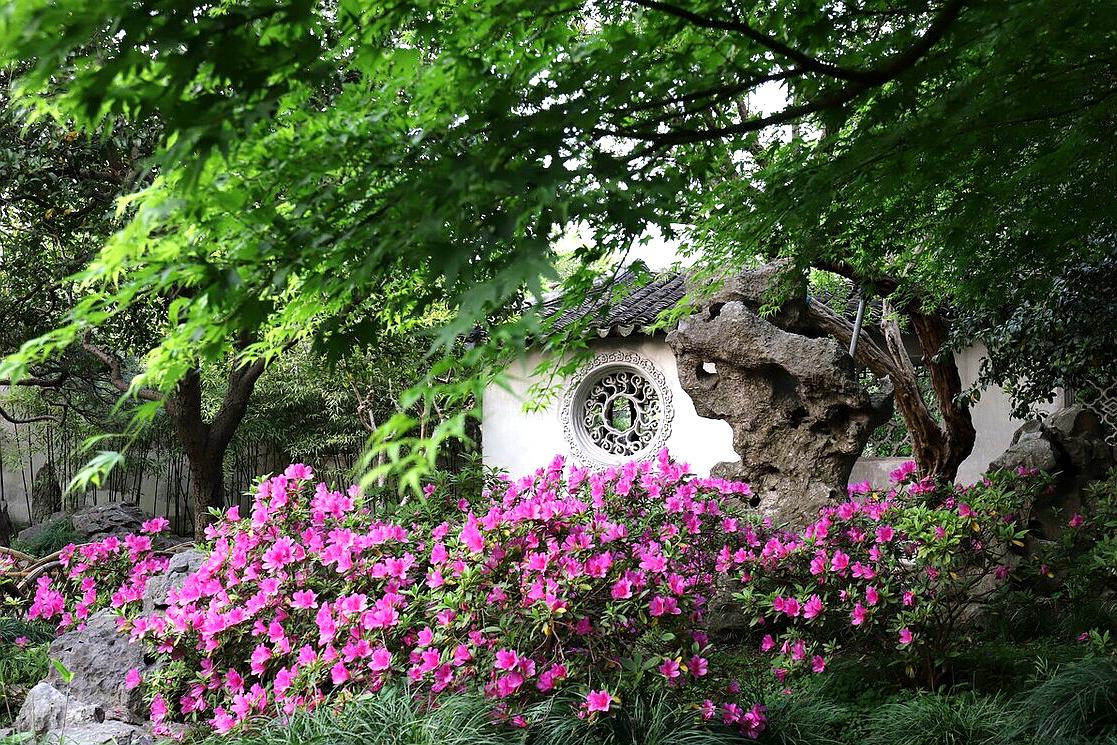 苏州旅游十大赏花景点,苏州赏花最佳景区排名