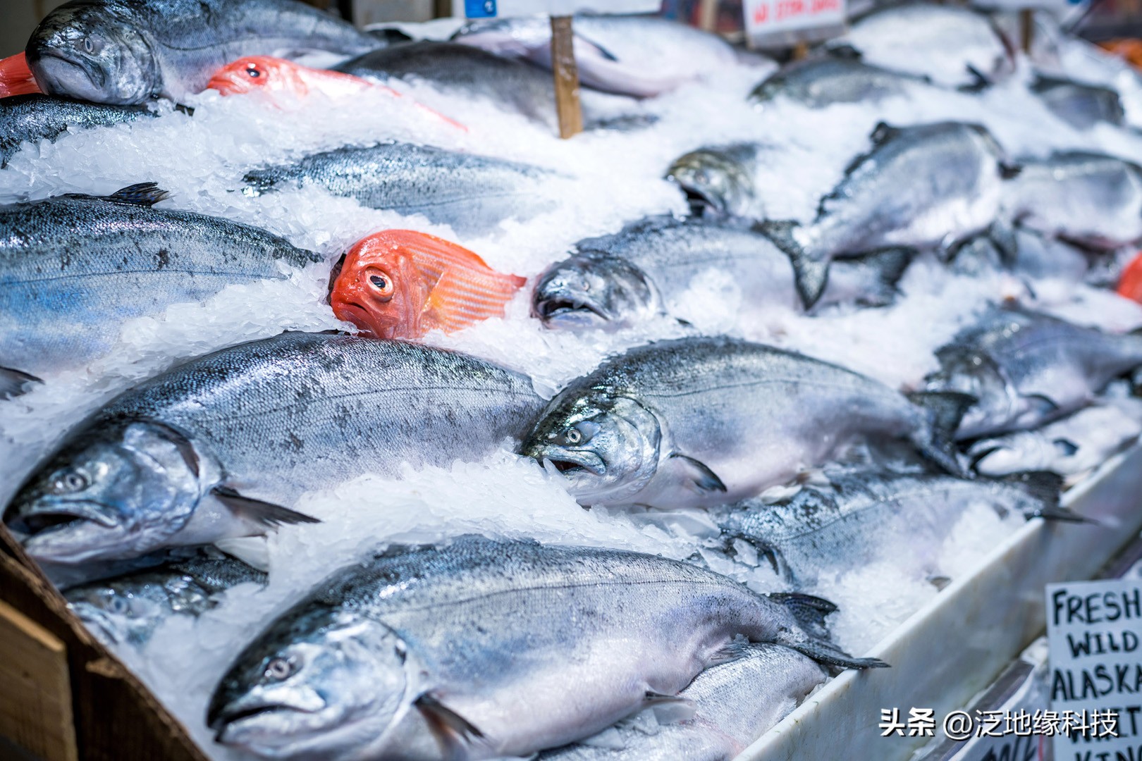 冷链物流基础知识,冷链物流知识讲解