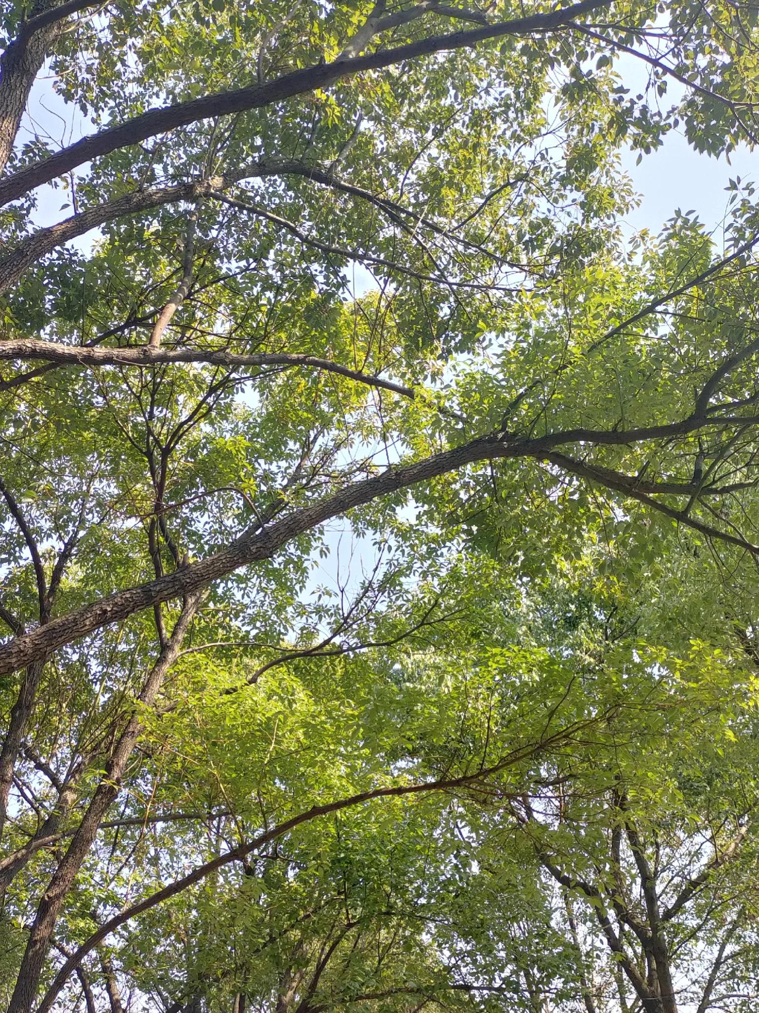 安康到合肥自驾沿途旅游景点,合肥哪些旅游景点春节期间免费