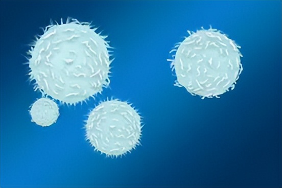 封闭针的药效对人体的伤害有多大,封闭针是将神经杀死吗