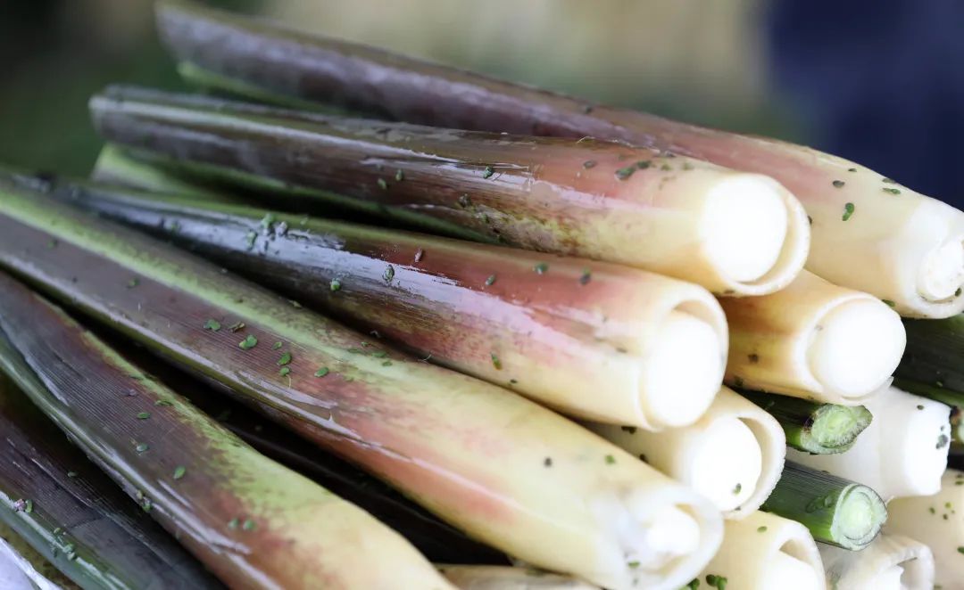 这个周六，瓶窑张堰千“茭”百态初夏游，约不？