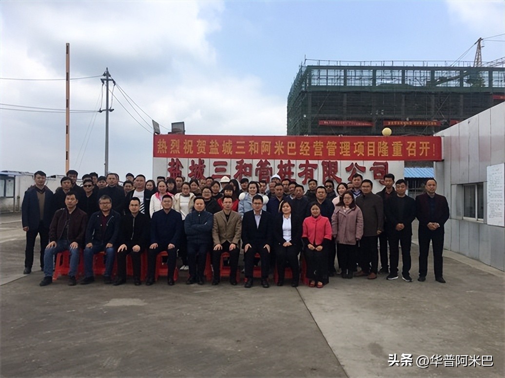 阿米巴经营业绩分析报告案例,阿米巴经营案例解析