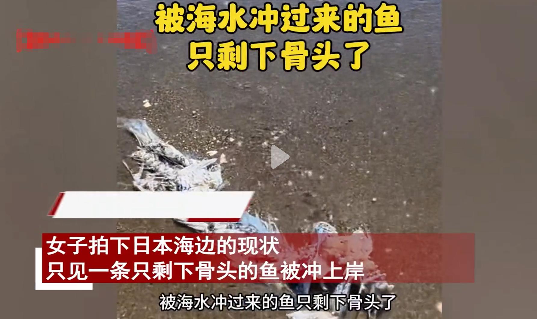 日本核污水排放已超100吨,日本核污水排放造成大量死鱼