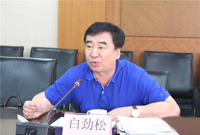 白岩松与妻子共事20多年,白岩松镇江女婿