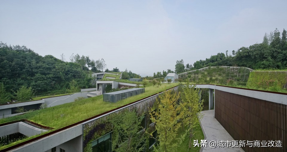 桃源居平面图,重庆桃源居全景图