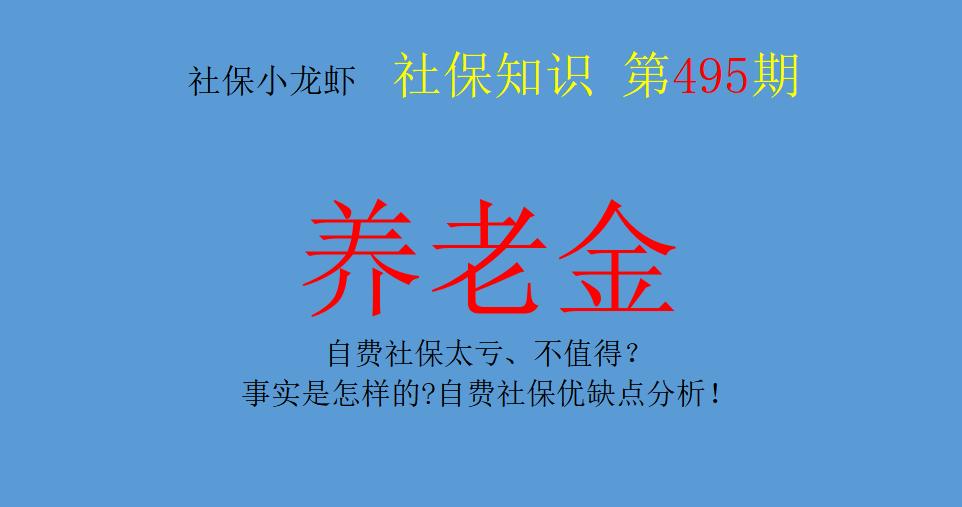 自费社保的优势和劣势,自费社保会亏吗