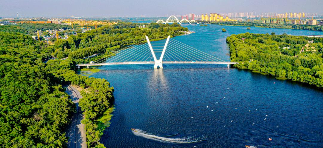 沈阳湿地公园丹顶鹤放飞,沈阳最近郊游最佳地点