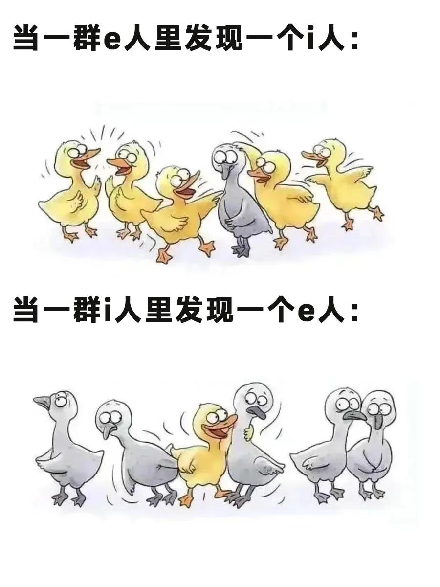 i人和e人区分不明显,i人和e人的区别对比图