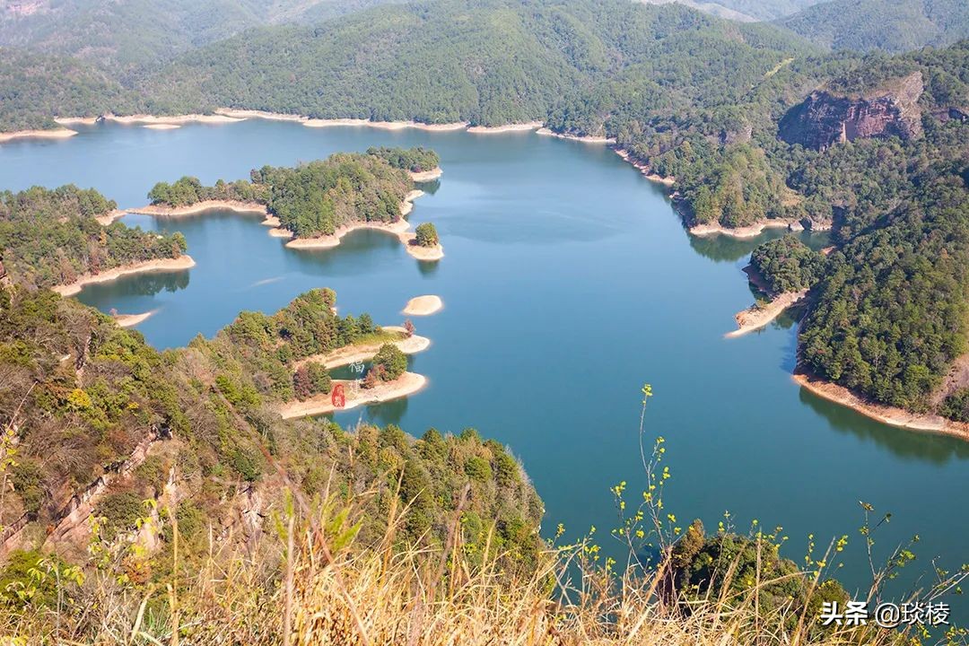 一座鲜为人知的公园,最冷门的森林公园