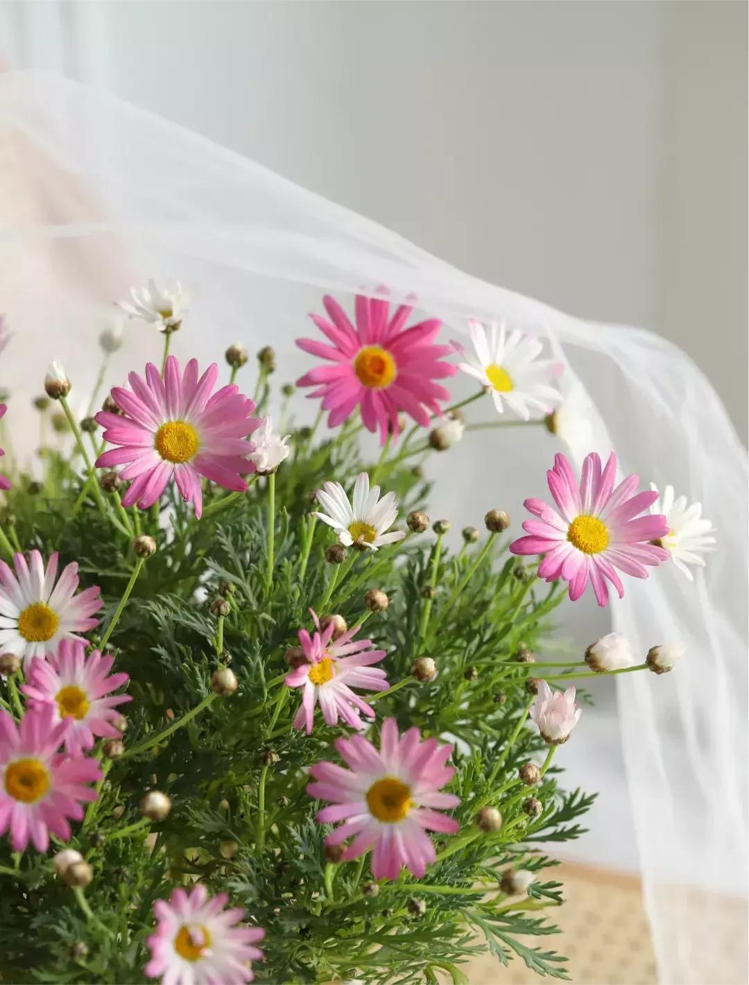 浜虹敓寰堣嫤浣嗘垜寰堢敎鍙ュ瓙,浜虹敓寰堣嫤绗戝寰堢敎