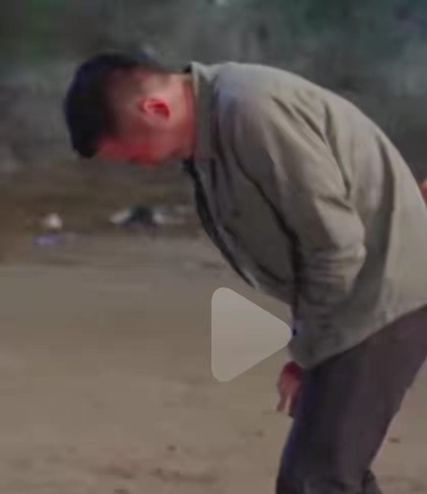 金世佳是不是演了爱情公寓陆展博,爱情公寓陆展博金世佳花絮