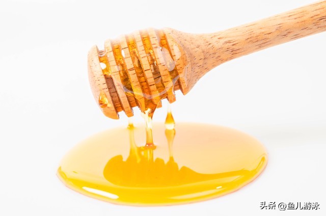 猫冬干粮价格表,俄罗斯猫粮贵吗