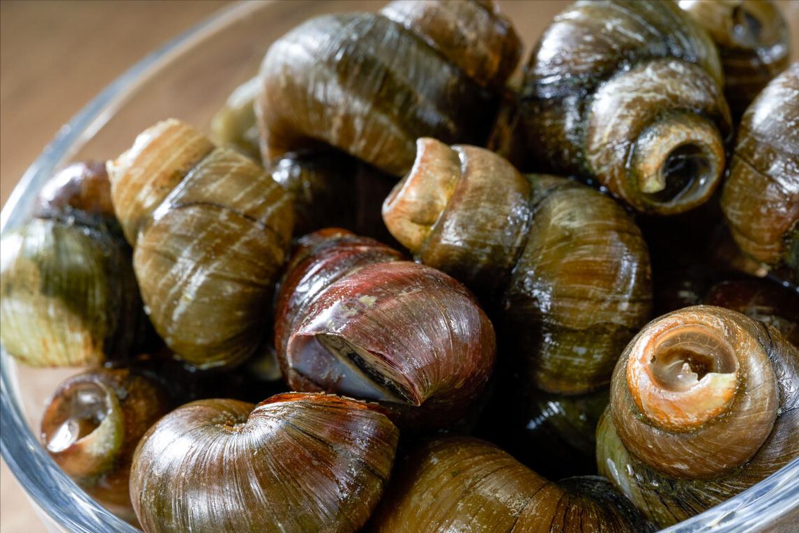 田螺放什么洗才洗得干净,清洗田螺里面放盐会死吗