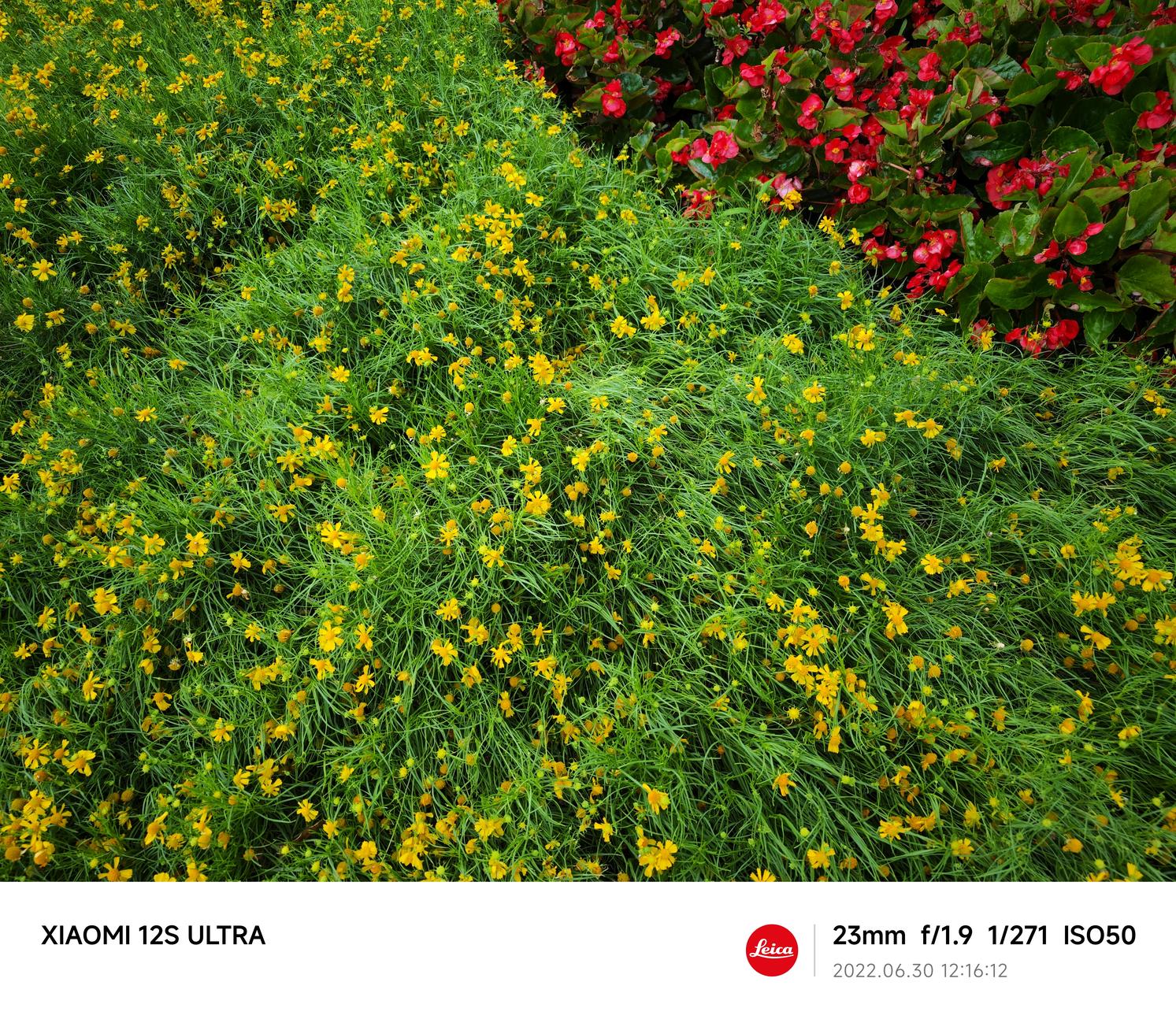 小米12sultra评测首发,小米12sultra影像测评最新