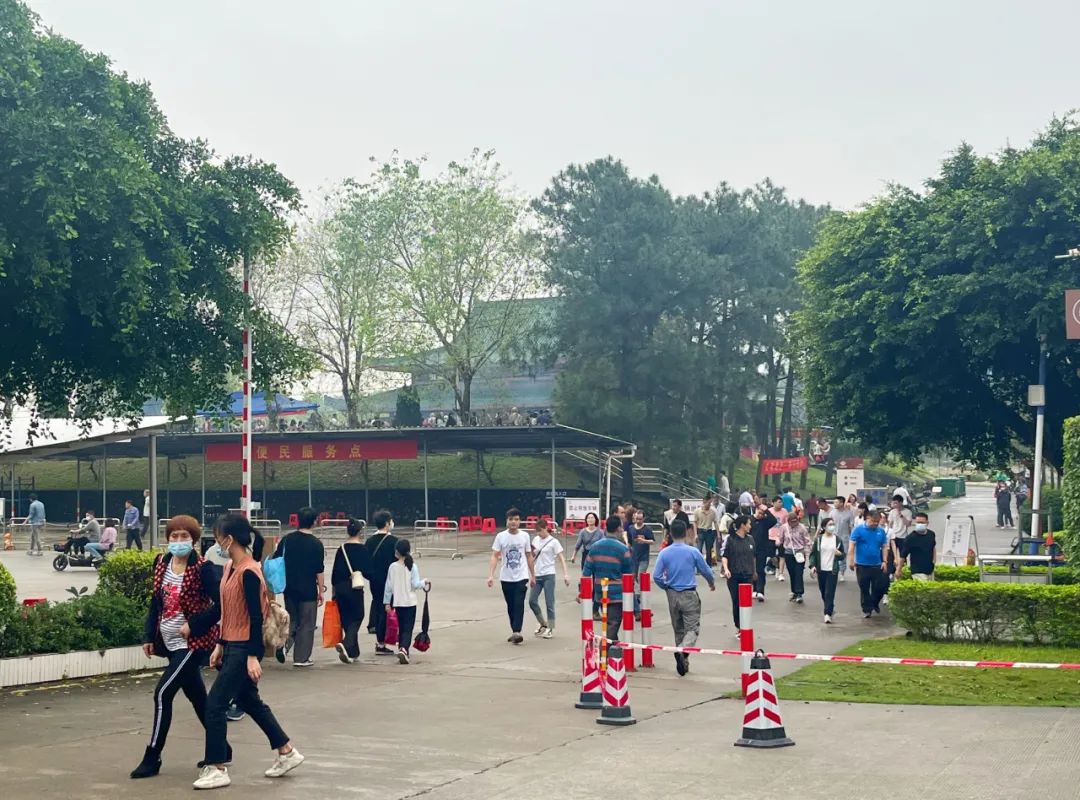 佛山清明节上哪踏青,清明预约祭扫佛山市