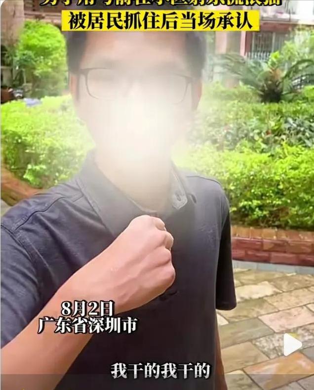 深圳弓箭射流浪猫警方介入,深圳男子用弓弩射杀流浪猫后续