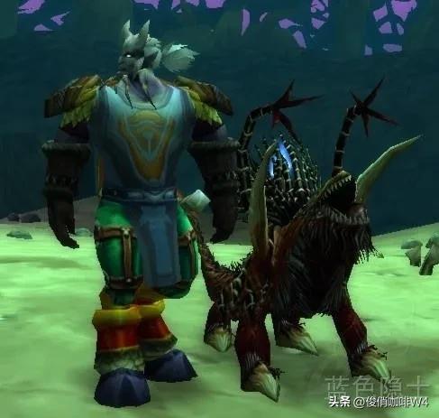 魔兽世界珍贵又有意思的五个物品,魔兽世界十大顶级道具