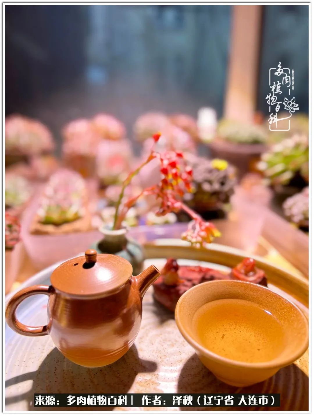 四季轮回之秋天,四季轮回之冬季