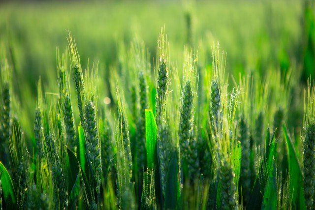 幼儿园讲究卫生教育随笔,随笔要注意哪几项