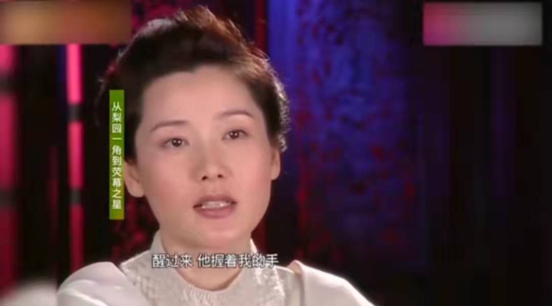 何赛飞高龄产子,丁克何赛飞