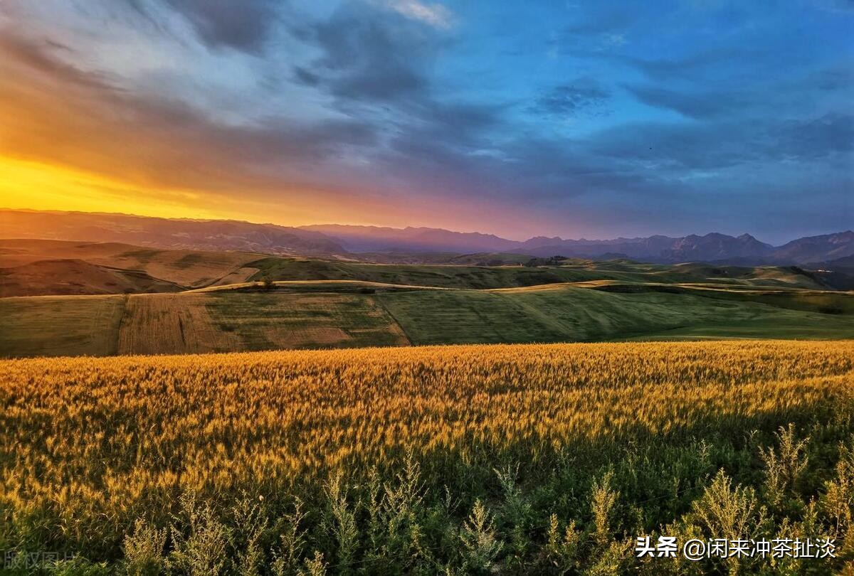 神仙的自留地,神的自留地喀纳斯