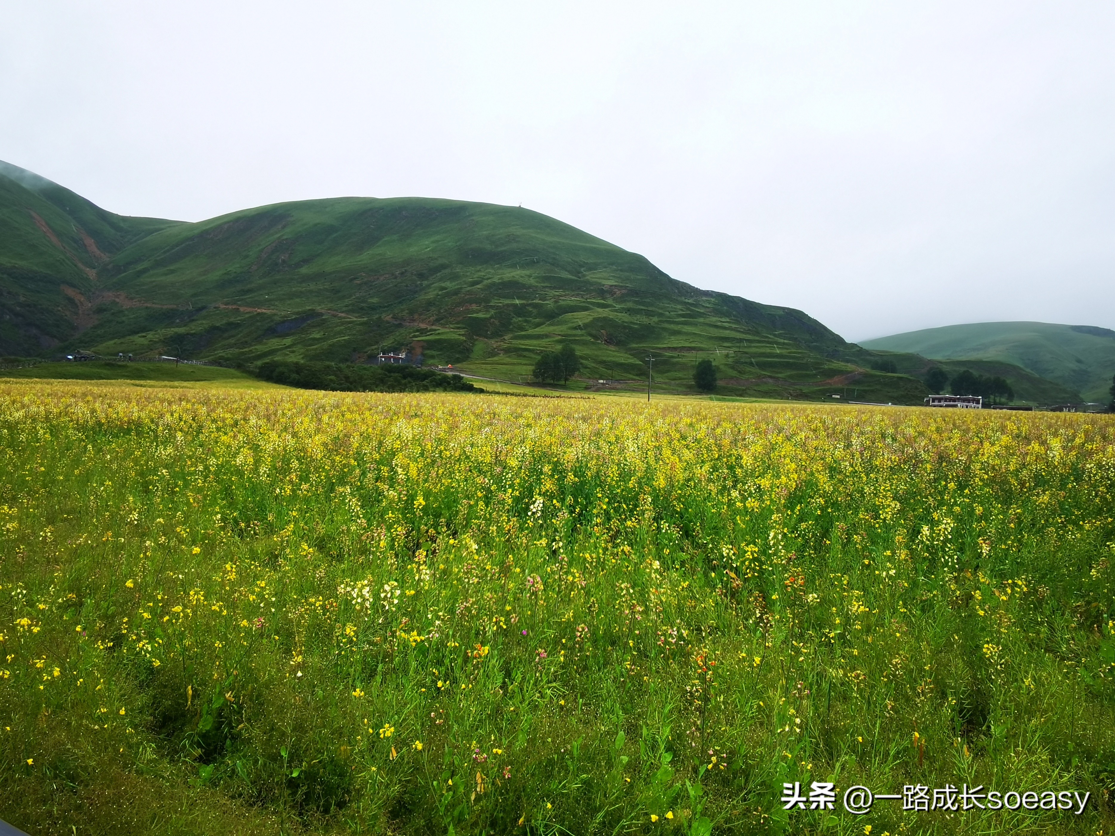 川西阿坝甘孜自驾游最佳线路图,甘孜阿坝三日游路线推荐