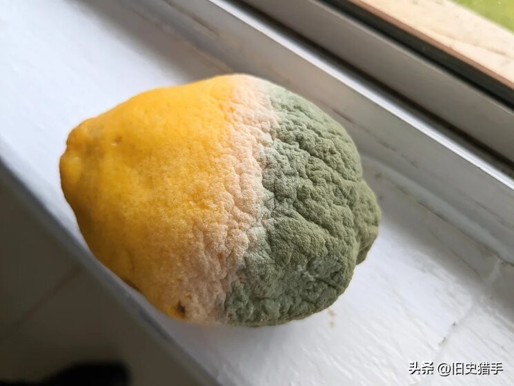 20张照片霉霉,25张令人震惊的图片