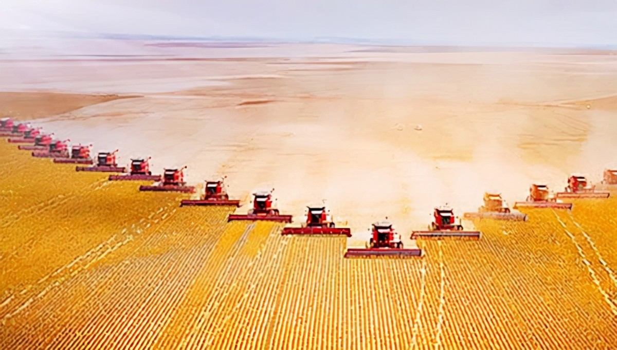 美国粮食比中国的便宜吗,美国与中国粮食产量对比