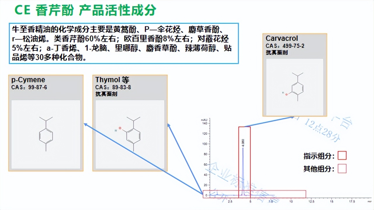 香芹酚与灰霉病,柑橘灰霉病用香芹酚