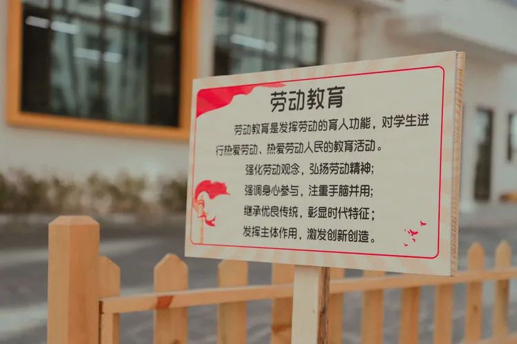 邯郸市丛台区曙光第二小学片区,邯郸市丛台区曙光小学梦想起航