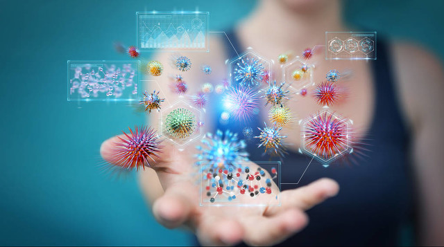 南非沉默的真相,南非情报泄露案件原因剖析