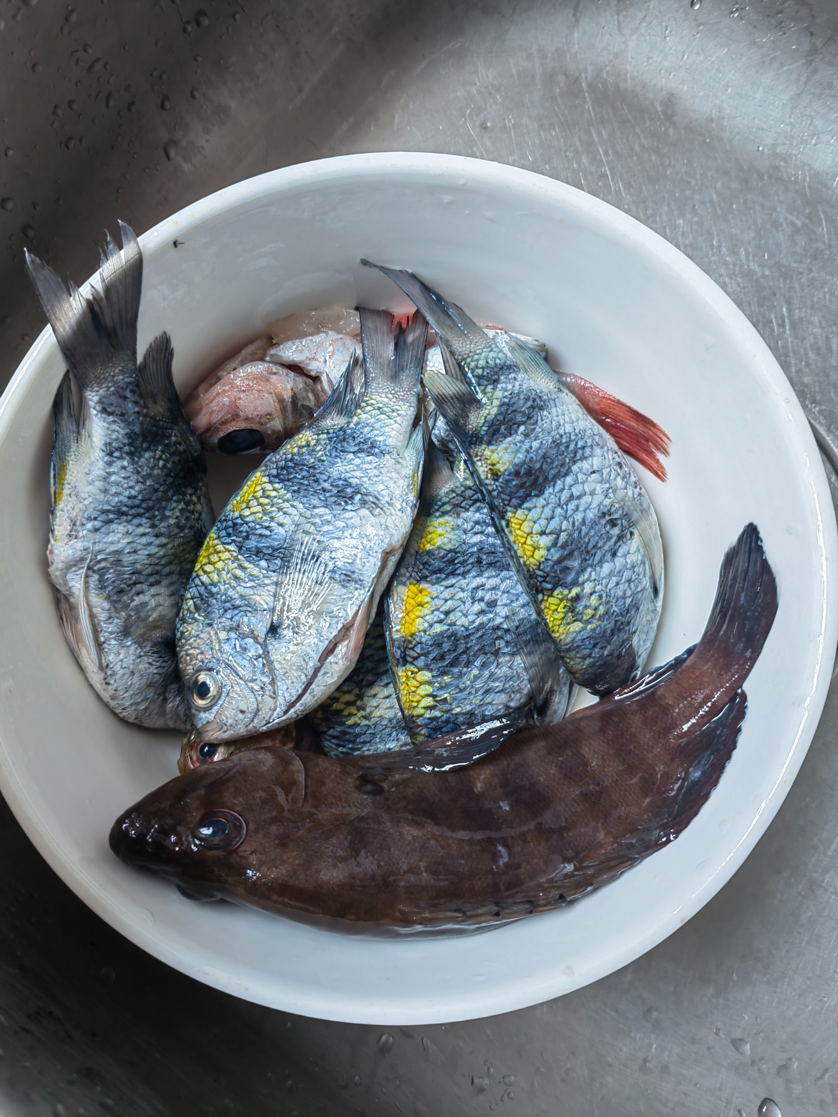 海钓三门岛,惠东三门岛海钓