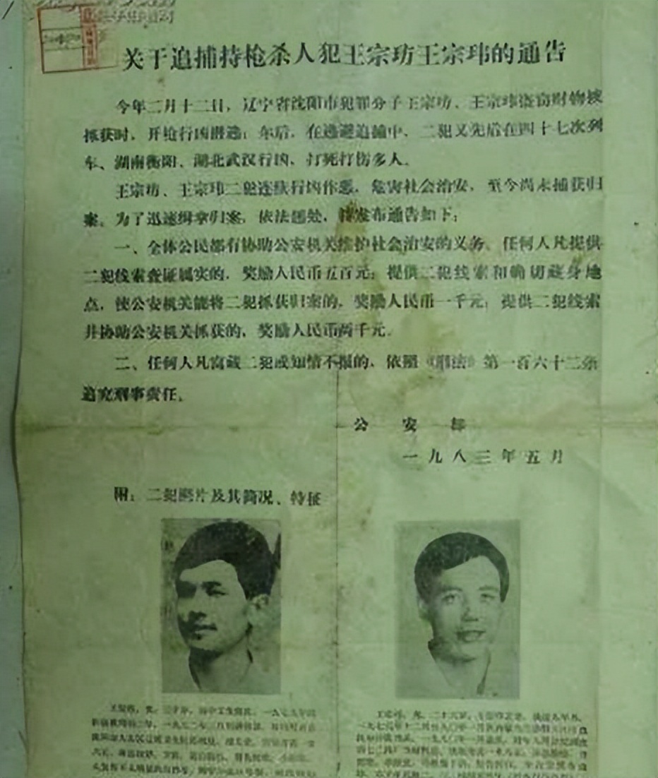 解密东北二王特大杀人案,十大悍匪纪实档案完整版东北二王