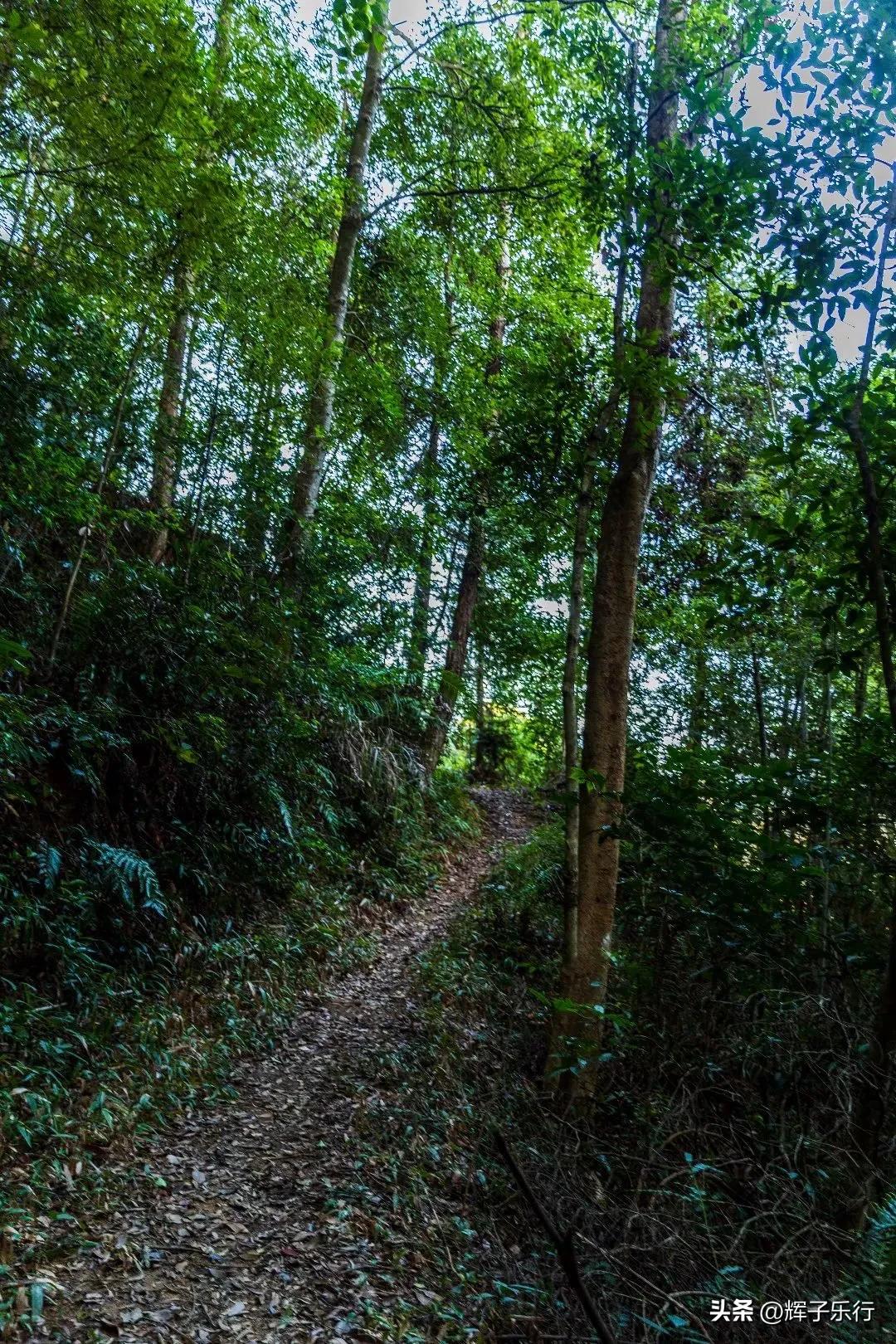 广东潮州凤凰海棠花谷，风光旖旎，3条绝美徒步线路值得一走